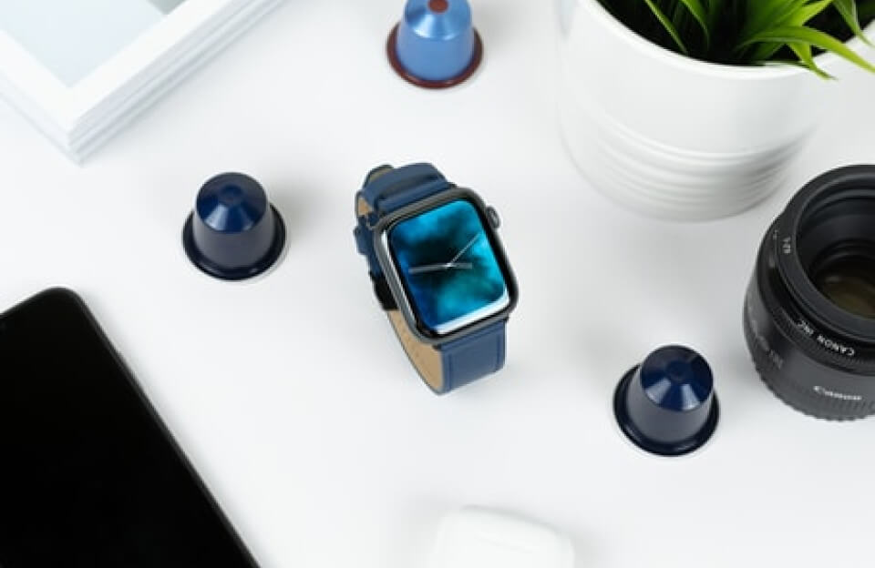 Read more about the article Dogs Do Their Duty for Science